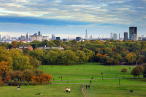 Shutterstock 727813726