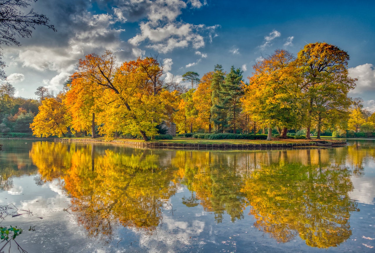 bridging_loans_in_surrey