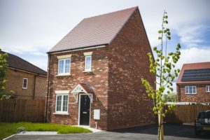 Double digit growth forecast for construction for 2021