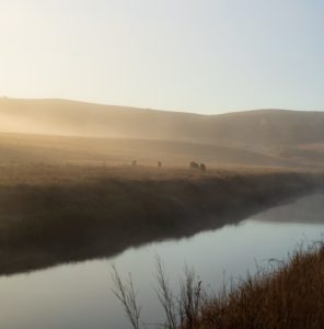Building industry lobbies Gove to revisit nutrient neutrality for rivers scaled 1