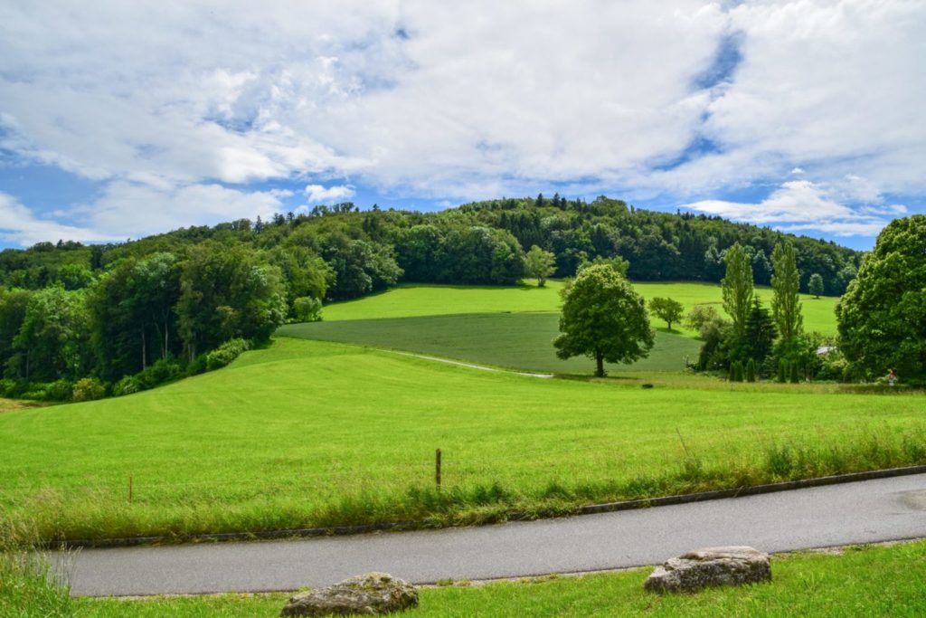 Home counties overturn plans for new housing on green fields scaled 1536x1024 1