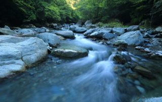 Hank Zarihs Associates | Gov’t seeks a clearer solution on river ‘nutrient neutrality’