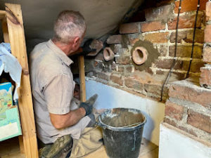 Image courtesy of Action for Swifts