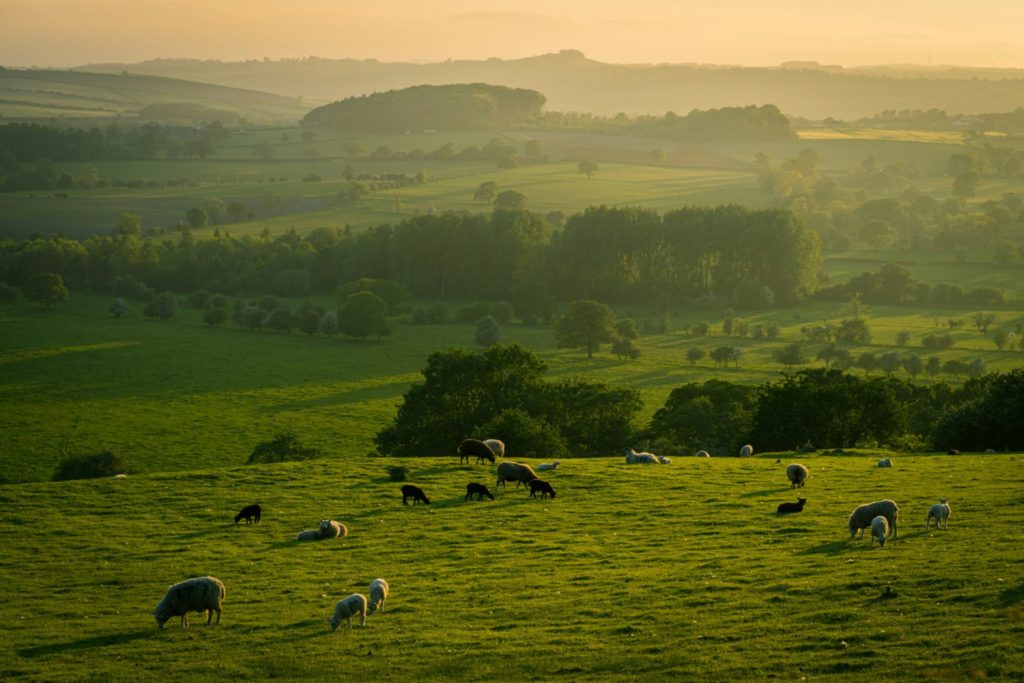 Illiya vjestica W5FdAcHp7l8 unsplash 1536x1024 1