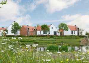 BDW YE Derwenthorpe York Barratt Homes