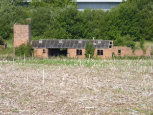 Grey belt site jeff gogarty 1536x1152 1