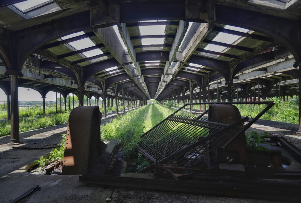 Bernd dittrich 5ppyOWcKGEc unsplash