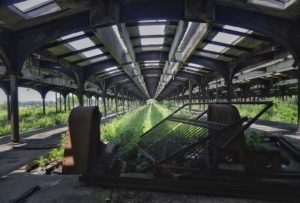 Bernd dittrich 5ppyOWcKGEc unsplash